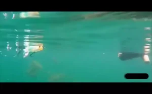 1Pc Random Color Topwater Fishing Lure With High Speed Rotating Tail Popper 13g35g Floating Lure Sea Fishing Lure Hard Bait Floating Water Pencil Bait Fishing Gear