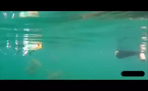 096b5389934a8fa2594009afb32c9b13.webp 1Pc Random Color Topwater Fishing Lure With High Speed Rotating Tail Popper 13g35g Floating Lure Sea Fishing Lure Hard Bait Floating Water Pencil Bait Fishing Gear